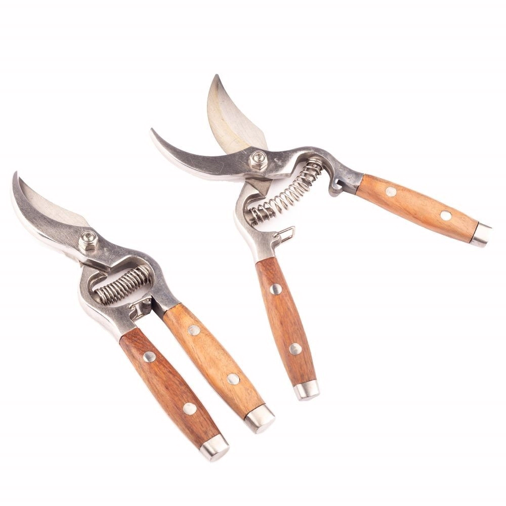 (FE) TIJERA PODA DELUXE CUCHI.ACERO-MANGO INOX Y 69361059