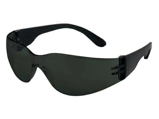 [GP50131] (GP) LIBUS ANTEOJO ECOLINE GRIS